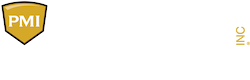 PMI ConnV Logo