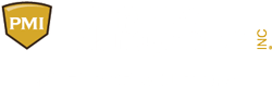 PMI Empire Solutions Logo